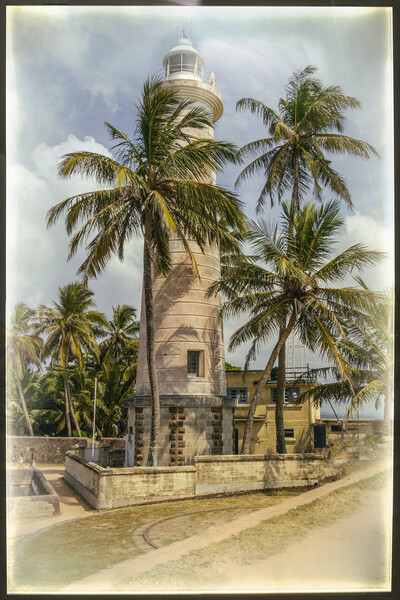Galle Lighthouse Palm Tree Picture Board by Kevin Hellon