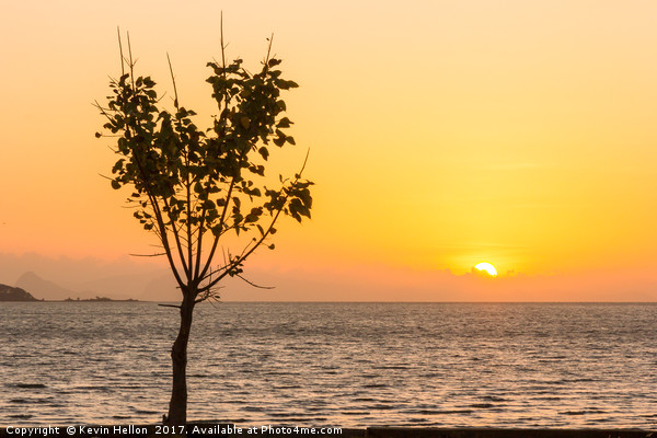 Tree at sunrise Koh Lanta, Krabi, Thailand Picture Board by Kevin Hellon