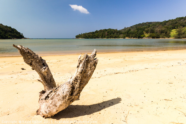 Driftwood on the whote sand beach at Layan, Bang T Picture Board by Kevin Hellon