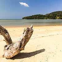 Buy canvas prints of Driftwood on the whote sand beach at Layan, Bang T by Kevin Hellon