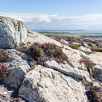 Buy canvas prints of View over rocks and purple heather by Kevin Hellon