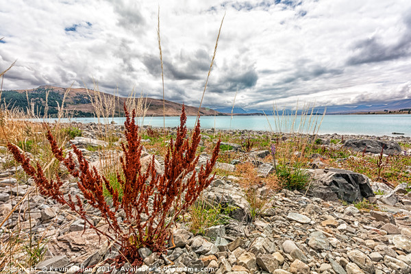 Lake Tekapo and the Southern Alps, South Island, New Zealand Picture Board by Kevin Hellon