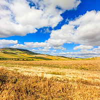 Buy canvas prints of Rolling hills and farmland, Granada Province, Spai by Kevin Hellon