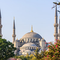Buy canvas prints of View of the Blue Mosque by Kevin Hellon