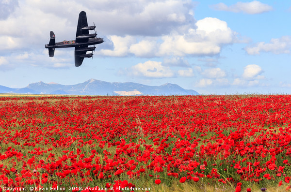 Lancaster bomber passing over a field of poppies Picture Board by Kevin Hellon