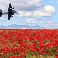 Buy canvas prints of Lancaster bomber passing over a field of poppies by Kevin Hellon