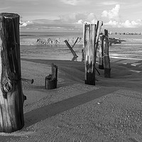 Buy canvas prints of  Posts on Khao Lak beach by Kevin Hellon