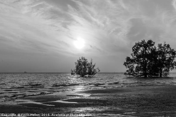Mangrove sunrise Picture Board by Kevin Hellon
