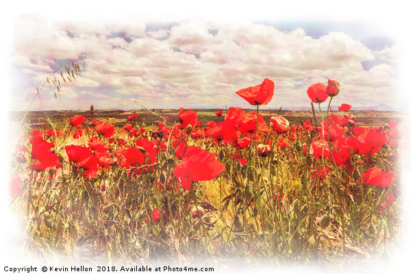 Poppy field and clouds, Granada Province, Spain Picture Board by Kevin Hellon