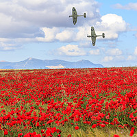 Buy canvas prints of Poppy field and clouds, Granada Province, Spain by Kevin Hellon