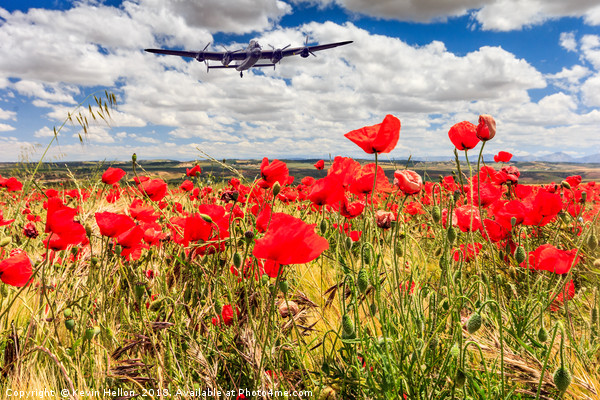 Poppy field and clouds, Granada Province, Spain Picture Board by Kevin Hellon