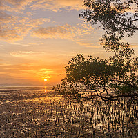 Buy canvas prints of Dawn over the mudflats  by Kevin Hellon