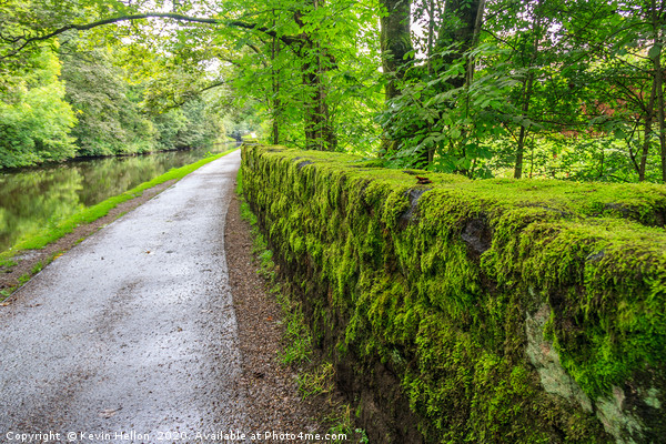 Towpath and green moss growing on stone wall Picture Board by Kevin Hellon