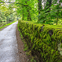 Buy canvas prints of Towpath and green moss growing on stone wall by Kevin Hellon