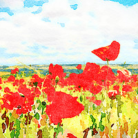 Buy canvas prints of Digital watercolour of poppy field against clouds  by Kevin Hellon