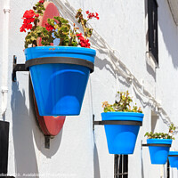 Buy canvas prints of Blue plantpots against whitewashed walls by Kevin Hellon