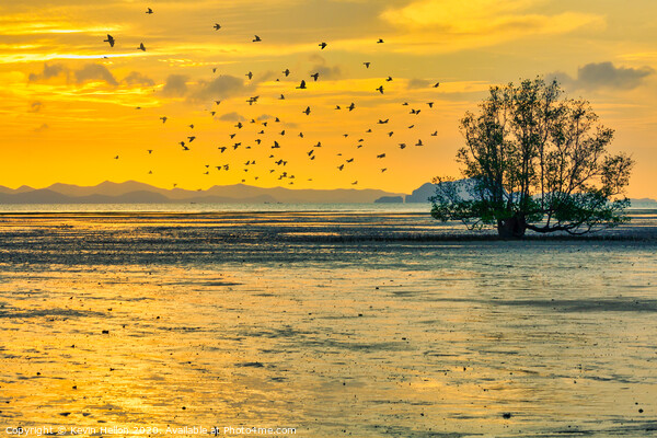 Birds at sunrise Canvas Print by Kevin Hellon