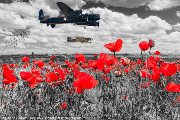 Lancaster bomber and spitfire flying over poppy fi Picture Board by Kevin Hellon
