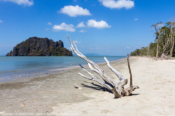 Bleached driftwood on Hua Hin beach, Trang Province, Thailand Picture Board by Kevin Hellon