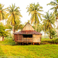 Buy canvas prints of Small house surrounded by coconut palm trees by Kevin Hellon