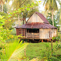 Buy canvas prints of Small house surrounded by coconut palm trees by Kevin Hellon