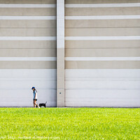 Buy canvas prints of Girl walking dog by Kevin Hellon