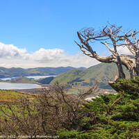 Buy canvas prints of Landscape of  Otago Peninsular by Kevin Hellon