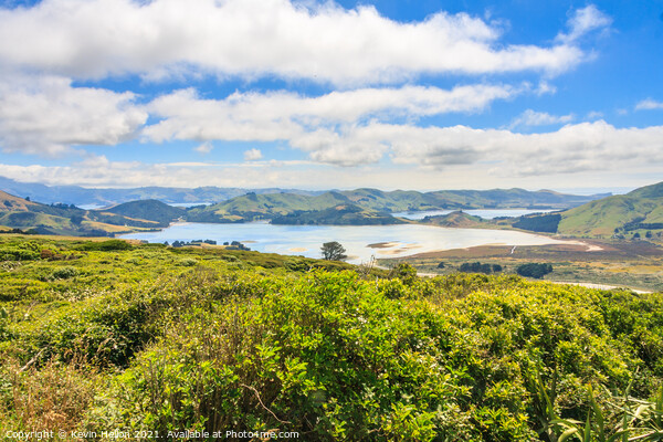 View of the Otago Peninsular Picture Board by Kevin Hellon