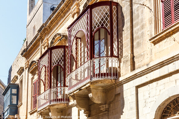 Traditional balconies in Valletta Picture Board by Kevin Hellon