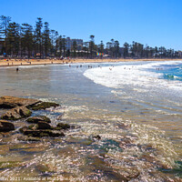 Buy canvas prints of View of Manly beach, by Kevin Hellon
