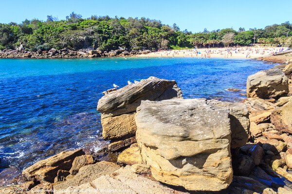 View over the rocks in Manly Picture Board by Kevin Hellon