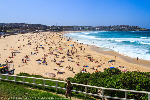 Bondi beach on a busy sunny day Picture Board by Kevin Hellon