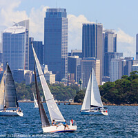 Buy canvas prints of Yachts sailing in Sydney Harbour by Kevin Hellon