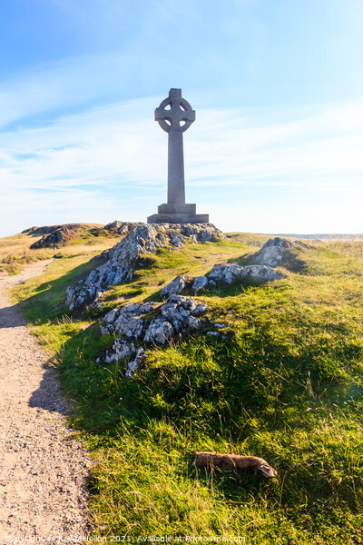 Celtic cross on Llanddwyn Island,  Picture Board by Kevin Hellon