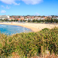 Buy canvas prints of Bushes with Coogee beach by Kevin Hellon