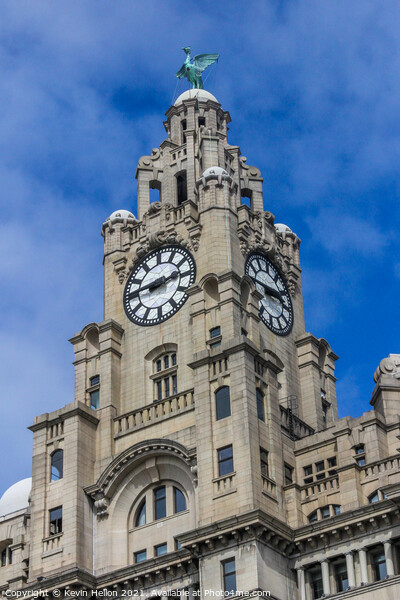 Royal Liver Building  Picture Board by Kevin Hellon