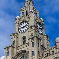 Buy canvas prints of Royal Liver Building  by Kevin Hellon