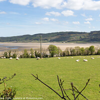 Buy canvas prints of View across fields to Red Wharf Bay in Anglesey, W by Kevin Hellon