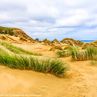 Buy canvas prints of Grassy sand dunes by Kevin Hellon