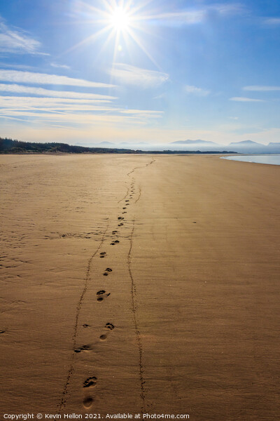 Footprints in the sand  Picture Board by Kevin Hellon