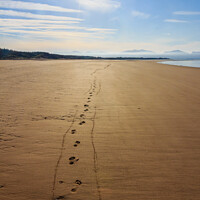 Buy canvas prints of Footprints in the sand  by Kevin Hellon