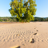 Buy canvas prints of Footprints in the sand by Kevin Hellon