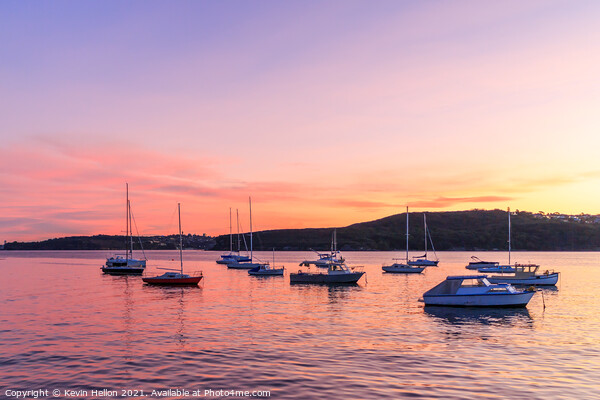 Sunset over Manly harbour Picture Board by Kevin Hellon