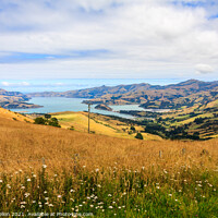 Buy canvas prints of Akaroa Harbour by Kevin Hellon