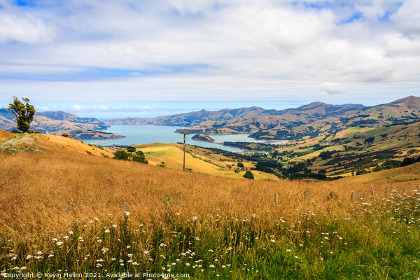 Akaroa Harbour Picture Board by Kevin Hellon