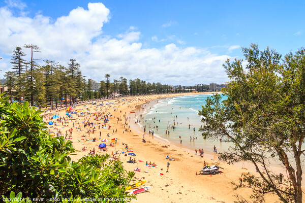People sunbathing and enjoying Manly beach Picture Board by Kevin Hellon