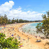 Buy canvas prints of People sunbathing and enjoying Manly beach by Kevin Hellon
