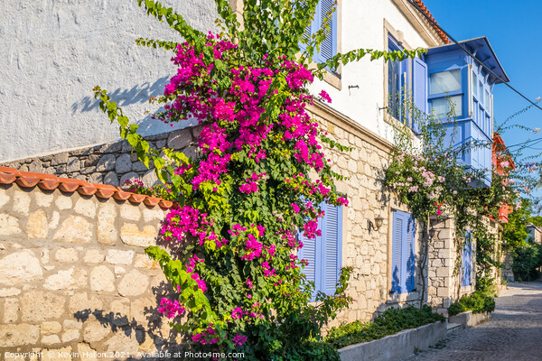 House with bougainvillaea Picture Board by Kevin Hellon