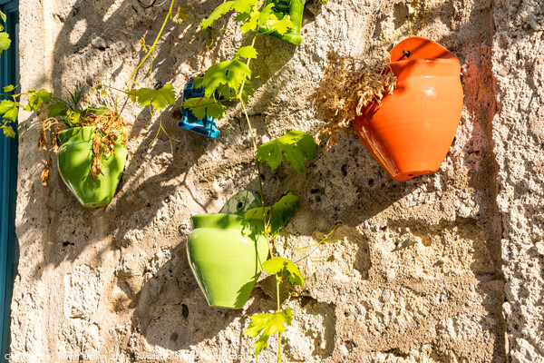 Colourful plant pots Picture Board by Kevin Hellon