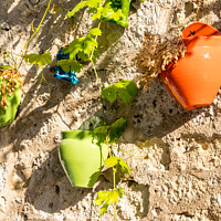 Buy canvas prints of Colourful plant pots by Kevin Hellon